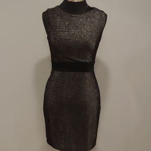 Shiny fitted midi dress